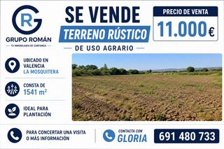 Finca rústica a La Viña-Montemar-San Jaime. A la venta terreno en la mosquitera valencia