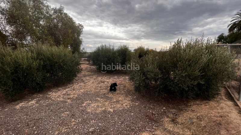 Foto 0c872d0d-a816-4f50-9b20-991b316eef61. Finca rústica a Cañada Hermosa Murcia