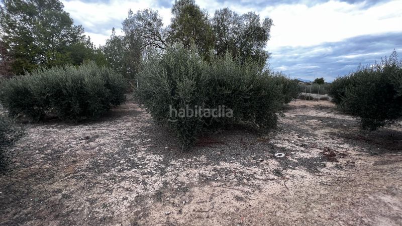 Foto a2f6e670-7d4b-45e0-8623-861525d6ab23. Finca rústica a Cañada Hermosa Murcia