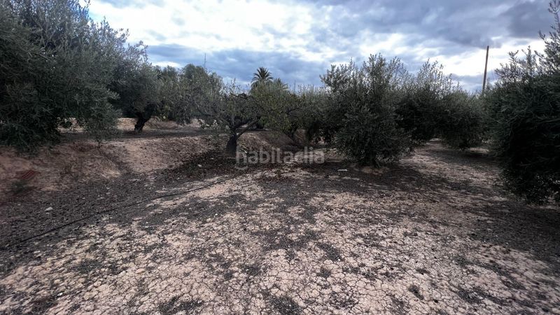 Foto f837512d-a8c0-4999-bb21-90514a7d7d83. Finca rústica a Cañada Hermosa Murcia