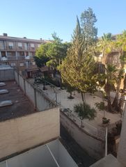 Pis a El Palmar