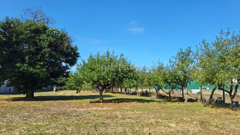Foto f4c4204b-a00f-47a0-85b7-5e5e367eb545. Nau industrial a Parroquias del Este Lugo