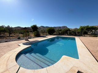 Country house  Barriada los caballos. Casa con terreno, apartamento independiente y árboles frutales