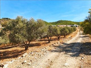Finca rústica a Carratraca. Con proyecto de nave 120m2