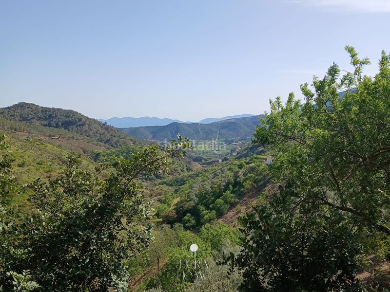 Foto bf7c9809-9787-437a-a02b-4918d2202901. Finca rústica a Carratraca