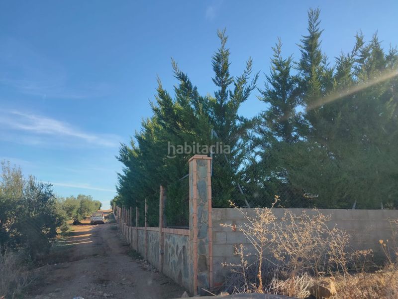 Foto 2a33a442-70bc-4e15-a663-3ce51f16f1ee. Terreny residencial a Almendralejo