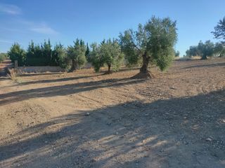 Wohngrundstück in Almendralejo. Solar en venta en carretera badajoz  carretera.