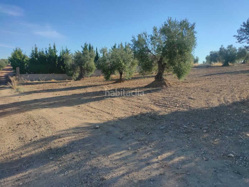 Foto ccea15d6-57cd-4dc9-9f32-0ee7eca5b941. Terreny residencial a Almendralejo