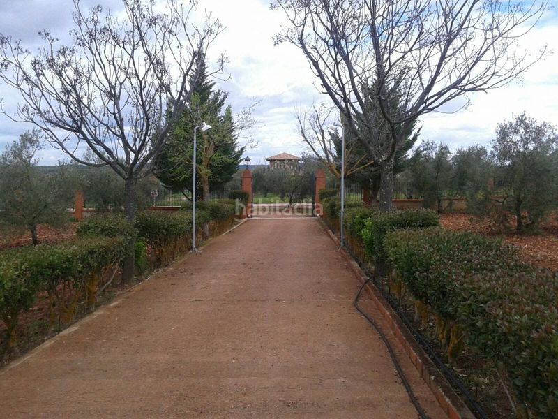 Foto 1656d434-40aa-4a50-a2c3-3be4ea93a34b. Chalet  en venta en almendralejo, 6 dormitorios. en Mérida
