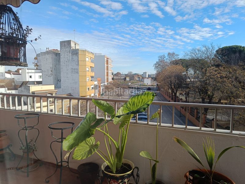 Foto 83cad3b7-b1ea-4c8a-b3e0-827579d2d04a. Pis a Almendralejo