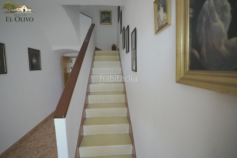 Foto c1c9b75c-3d44-4838-bb57-db402349607b. Casa a San Isidro - Campohermoso Níjar