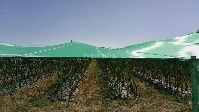 Foto e3eb2bcd-4625-4209-a0bb-a2084aceadba. Finca rústica a Vilallonga / Villalonga