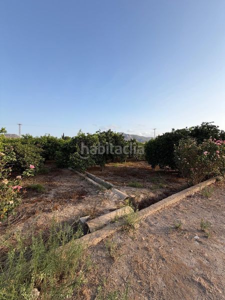 Foto 4fce4f12-c746-4f28-aed9-d6bd31b43013. Mas dans camino camino plazas 16 dans San José de la Vega Murcia