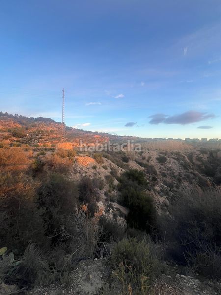 Foto 0def236a-73ed-45c8-9c20-aaf12512a6b9. Finca rústica a cabezo animas 0 a Albudeite
