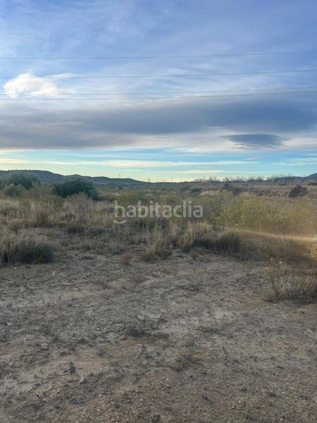 Foto 641cc9d6-fd0a-4675-a6e9-0c396ab54c32. Finca rústica a cabezo animas 0 a Albudeite