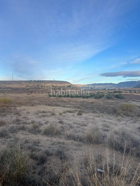 Foto a01adb16-8684-4c58-ba4c-141f47ed34bc. Finca rústica a cabezo animas 0 a Albudeite