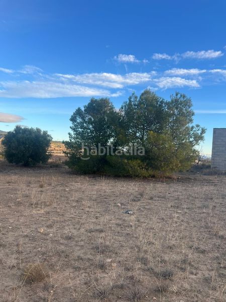 Foto c40ad807-1af8-41b4-8ac5-ba612e057167. Finca rústica a cabezo animas 0 a Albudeite