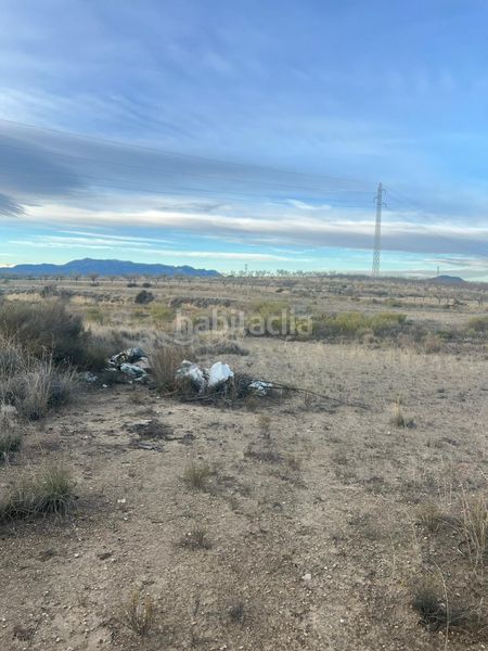 Foto e155cb91-8c39-4e6f-8325-c67e814a3543. Finca rústica a cabezo animas 0 a Albudeite