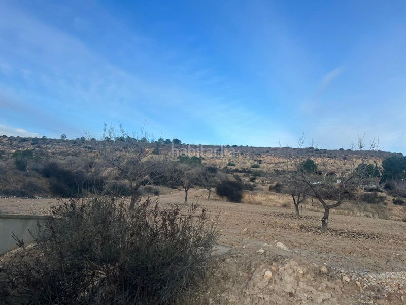 Foto f969fab9-0b07-4e6e-b8cc-2091df823a94. Finca rústica a cabezo animas 0 a Albudeite