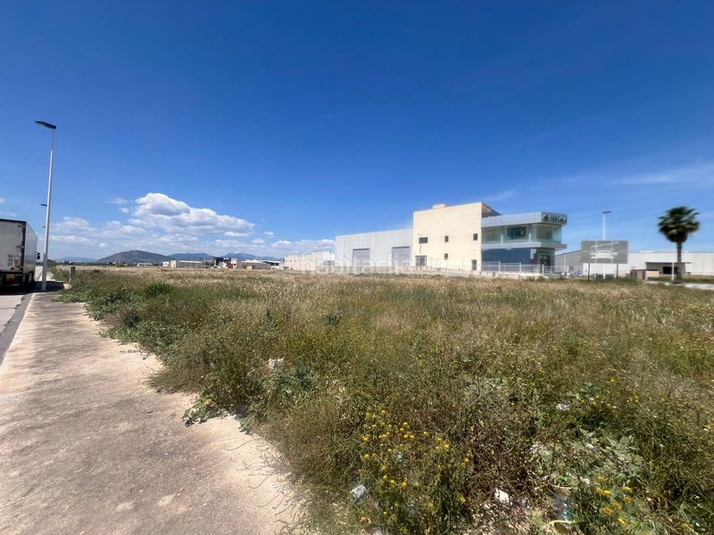 Foto d8db4bf6-25f3-477e-8c47-9ecfa5ce300d. Terreny residencial a Librilla
