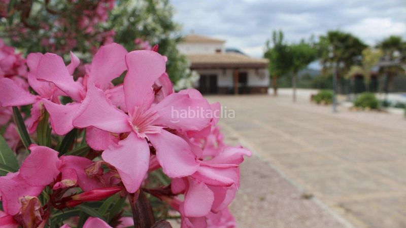 Foto 5f3bba7b-b0dd-4b8b-a634-47602e7f96c1. Xalet amb calefacció aparcament piscina a Moratalla