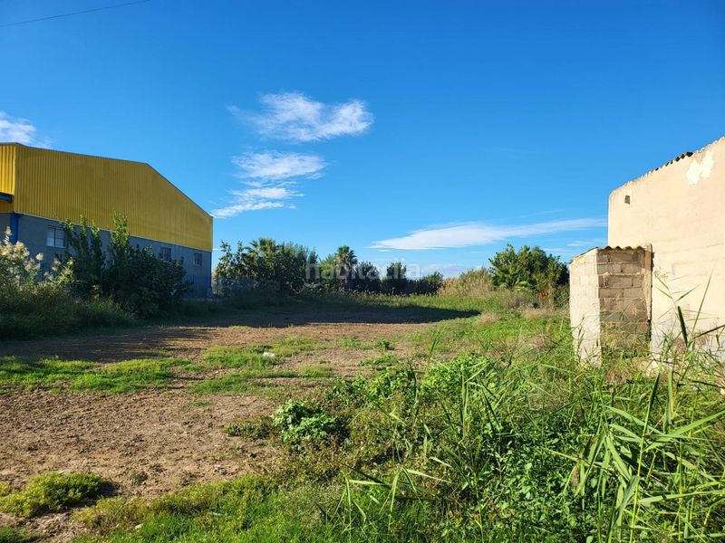 Foto d8b6be72-c98e-4bef-8284-8ae29d0ed0b5. Finca rústica a Torreagüera Murcia