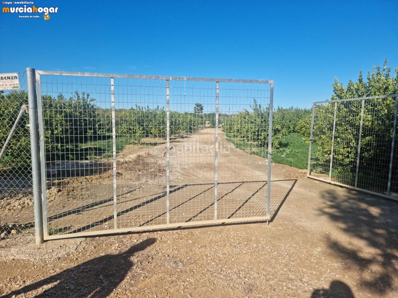 Foto 5ad55196-072d-4f01-9c39-5487f97e8a68. Finca rústica a Torreagüera Murcia