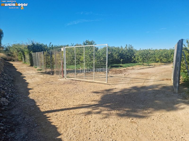 Foto 8f5669da-62f9-41c3-88d4-f4dca0a7b7e6. Finca rústica a Torreagüera Murcia