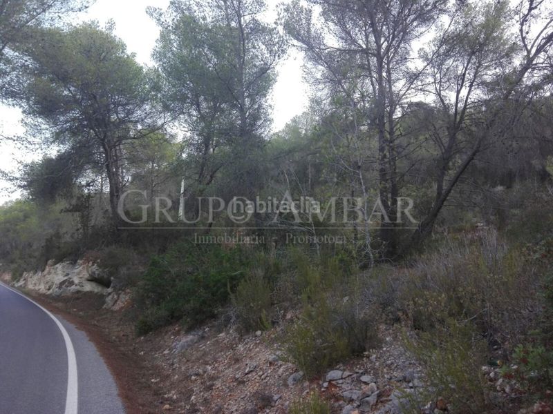 Foto 5460fca0-2cd2-4731-b7f9-cdd891eaf567. Finca rústica a Sant Antoni de Portmany