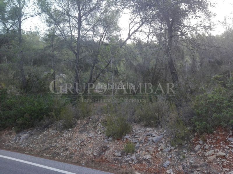 Foto 5a7c4be6-9b02-48b4-bd6f-74adfebb63de. Finca rústica a Sant Antoni de Portmany