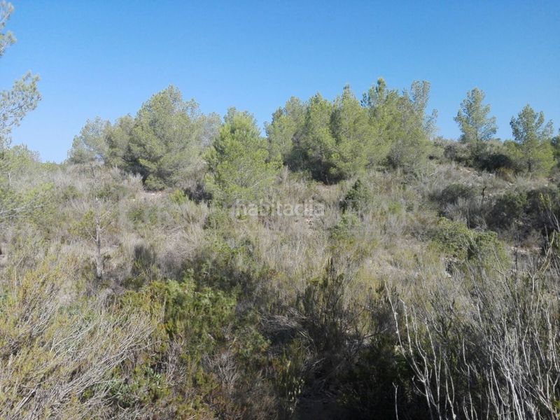 Foto de76dd22-a984-4501-a072-1ba77fd54e35. Finca rústica a Sant Antoni de Portmany