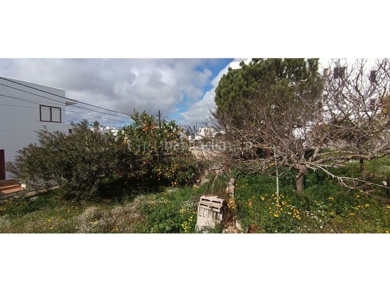 Foto 1af5bece-5985-4c23-b5eb-f8b2645b45bc. Terreny residencial a Puig d´en Valls Santa Eulària