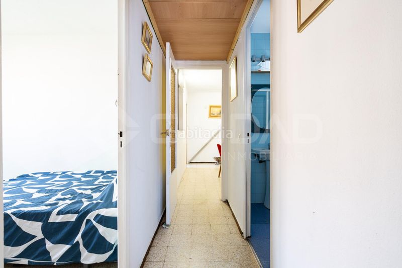Foto 0a54ee59-3111-4b41-b93f-b2d75aae226b. Pis a Villegas Sevilla