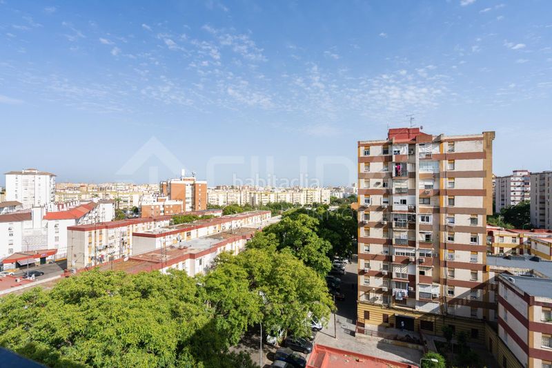 Foto d6f50514-1f07-4818-8dfd-c4044c8203cf. Pis a Villegas Sevilla