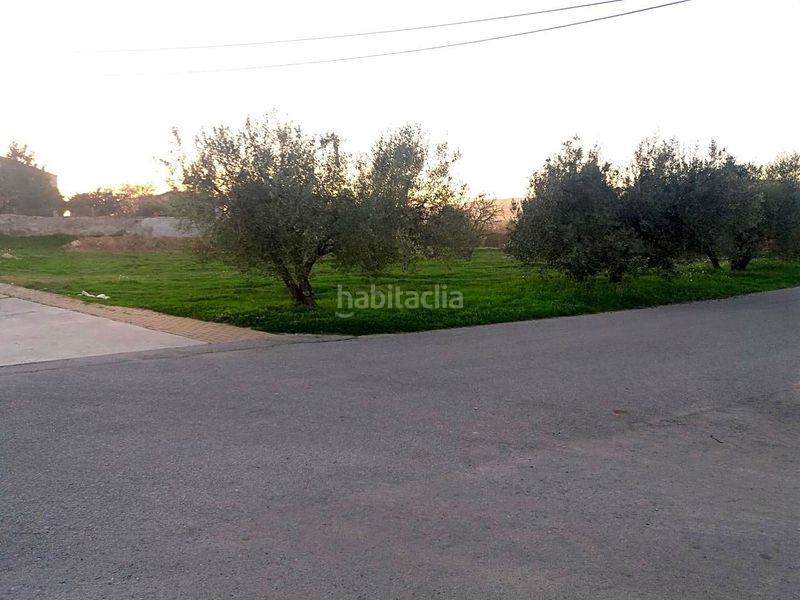 Foto e1bc2d16-38aa-4823-b89a-babd2ac3136d. Terreny residencial a Font-rubí