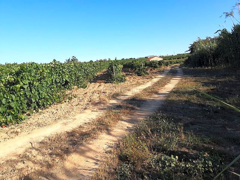 Foto 0dd8943a-11bd-486d-8976-d2b850fe34b0. Finca rústica a Olèrdola