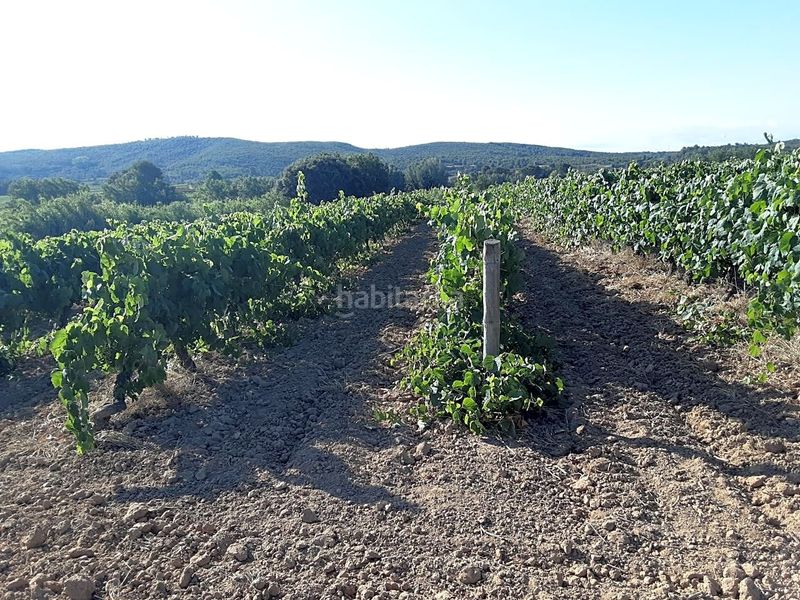 Foto 1b32aa09-781a-4252-bbcb-5e5ef197515e. Finca rústica a Olèrdola