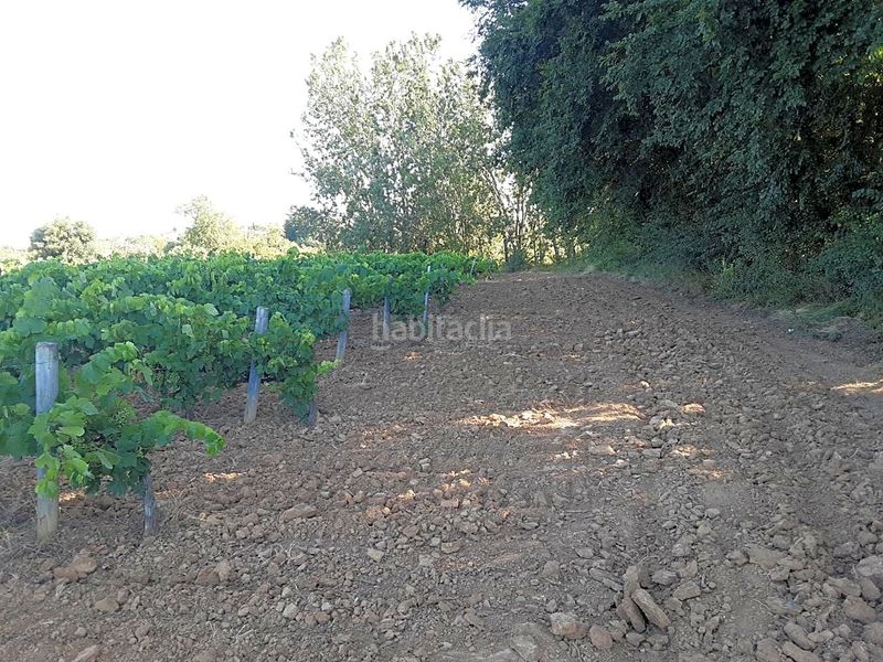 Foto 51ff79d2-a7aa-496f-b3fe-0014c240adf9. Finca rústica a Olèrdola