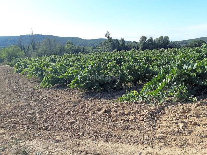 Foto 66ded075-c2cc-4c34-b680-a8f50ca20a9a. Finca rústica a Olèrdola