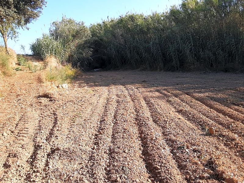 Foto 913ff591-d454-4d30-a082-ff5cf77570f0. Finca rústica a Olèrdola