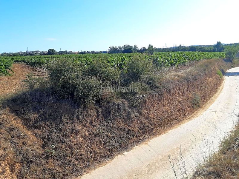 Foto be1d8497-f831-4905-bbe5-88e73d93f337. Finca rústica a Olèrdola