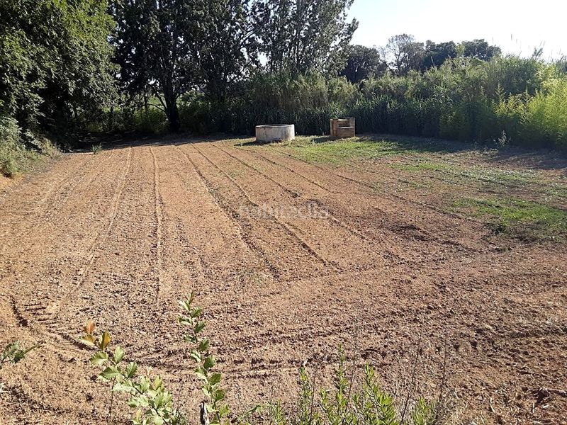 Foto d31a14b4-4cad-4b9a-88d0-dc907202d059. Finca rústica a Olèrdola