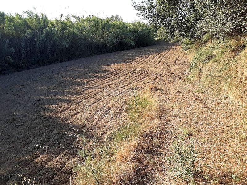 Foto e6b35e7c-2a3e-46f0-9ef8-e943aa3d246c. Finca rústica a Olèrdola