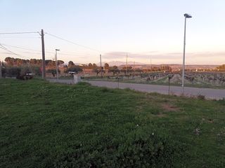 Terreny residencial a Font-rubí