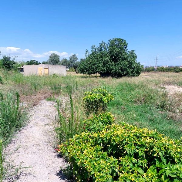 Foto f59ad061-d9c7-4d10-ad7a-4adf5487a0c9. Finca rústica a Olèrdola