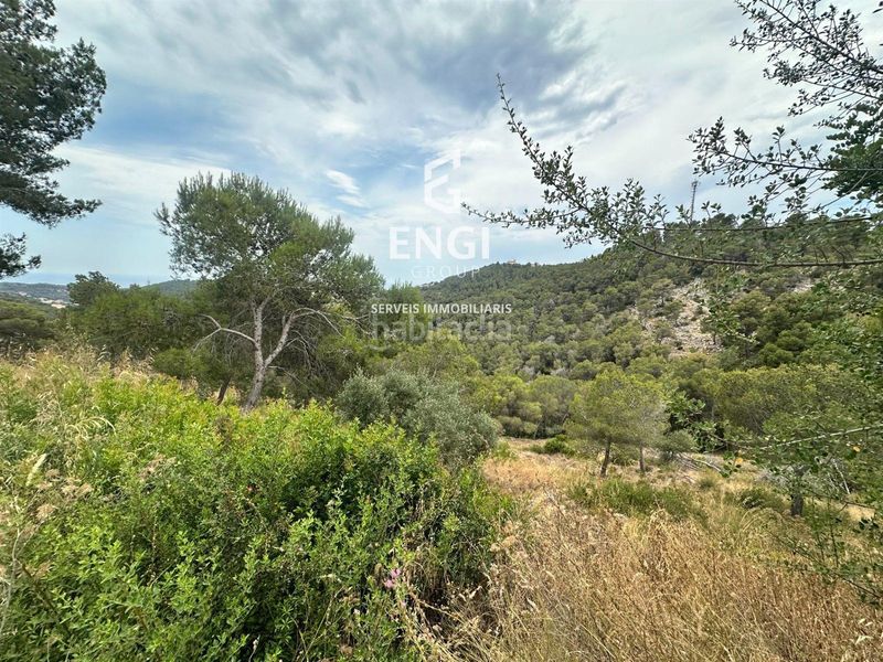 Foto e00b6ddf-fcf1-42c2-8b04-d5d02e5c3d22. Finca rústica a Castellet i la Gornal