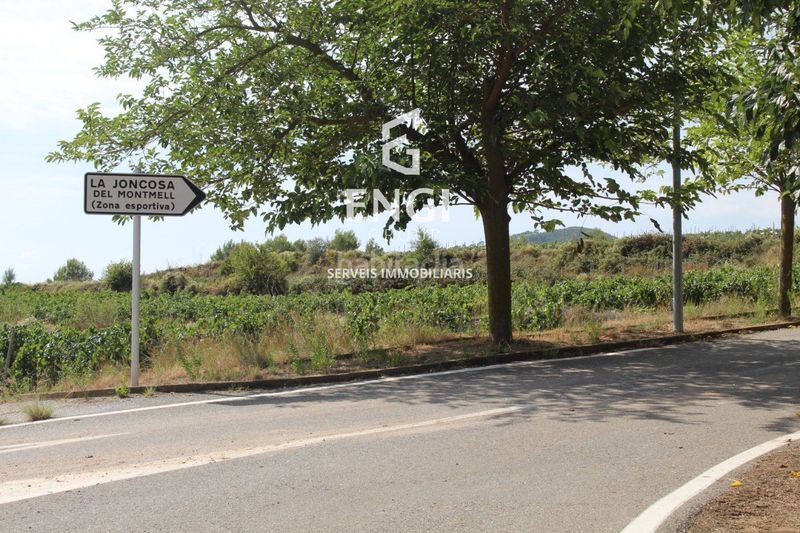 Foto f8c2a8a8-f444-41f2-b7f4-2f27d206d466. Finca rústica a Montmell (El)