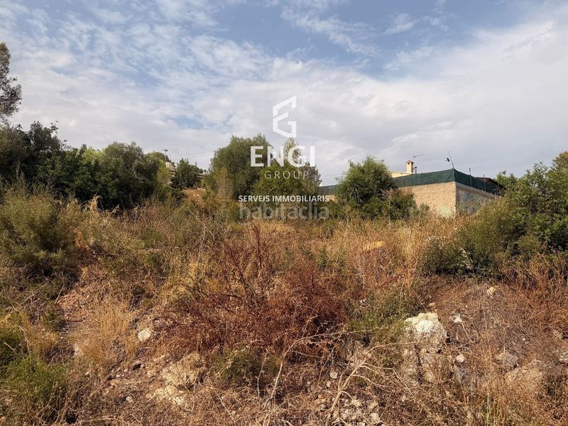 Foto 43d70f89-f8ef-426c-b693-6957946281d1. Finca rústica a Nou Vendrell Vendrell (El)
