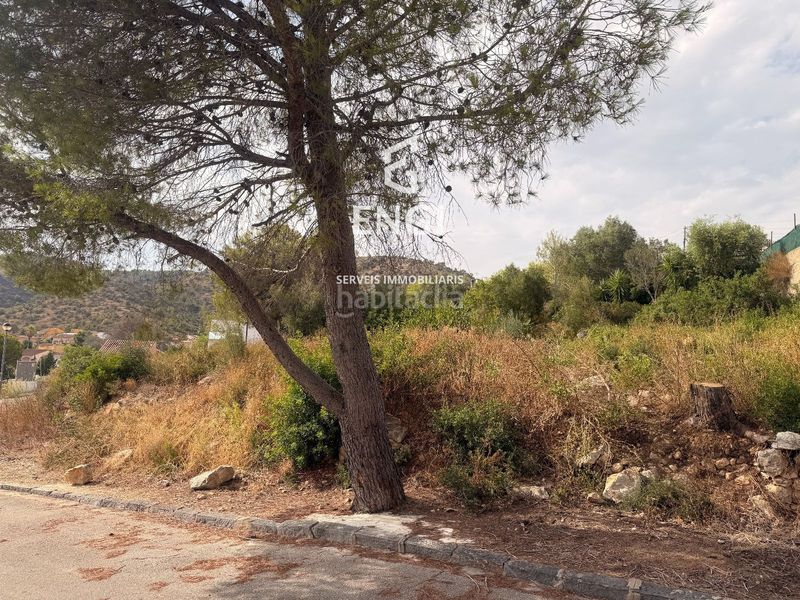 Foto 1ae2d658-2958-4a44-aee9-f8842fbe7a7b. Finca rústica a Nou Vendrell Vendrell (El)