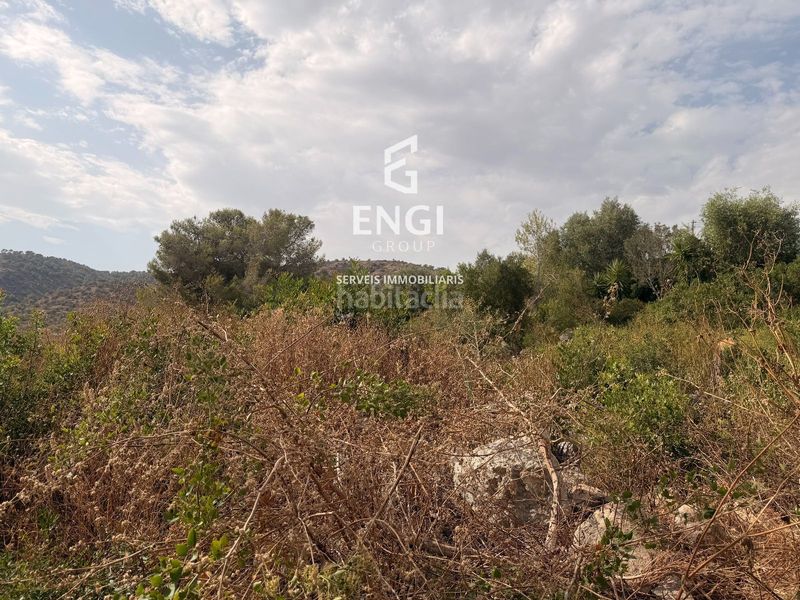 Foto 7883e1e5-e2c1-41b7-9a4b-e0572d0a4044. Finca rústica a Nou Vendrell Vendrell (El)